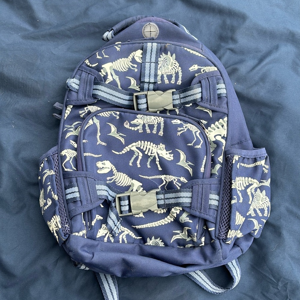 Pottery Barn Kids small backpack.